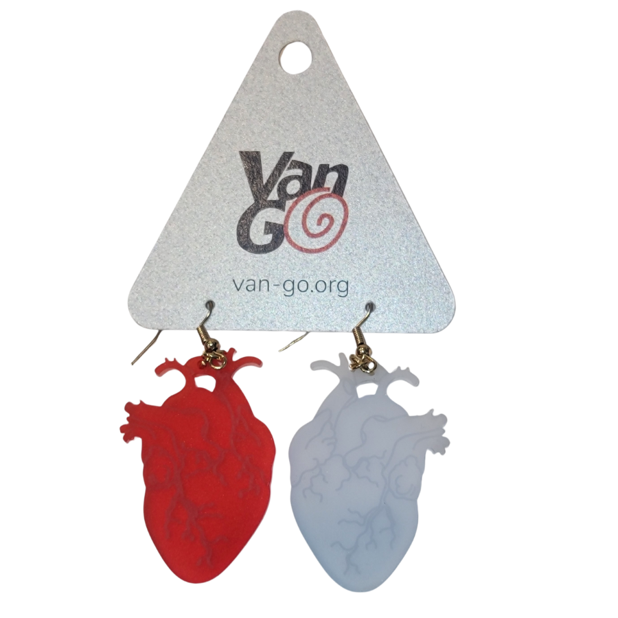 Anatomical Heart Earrings